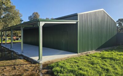 How to Vermin Proof Your Shed (Properly)