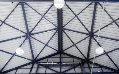 8 Shed Lighting Ideas | A Detailed Buyer’s Guide