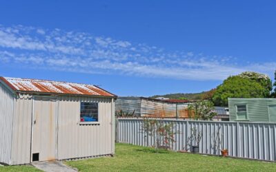 Is It Worth Repairing a Shed? Here’s What We Think